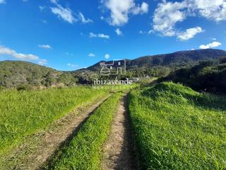 Rural plot  Can puig de mar. Terreno de 54.000 m en zona anei