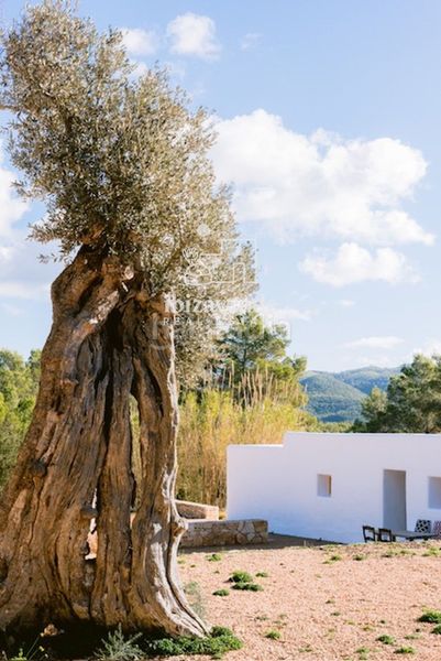 Foto edb5a76c-d7a4-4901-b519-00dfe6d730f2. Lloguer xalet amb calefacció aparcament piscina a Sant Joan de Labritja