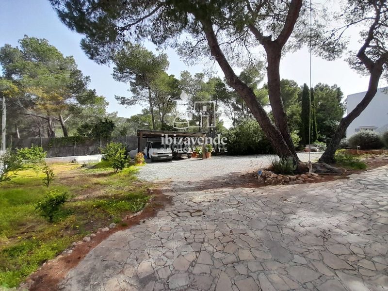 Foto 6431a4cf-fdb5-4ce8-a99d-9137c567b483. Casa amb aparcament piscina a Sant Carles Santa Eulària