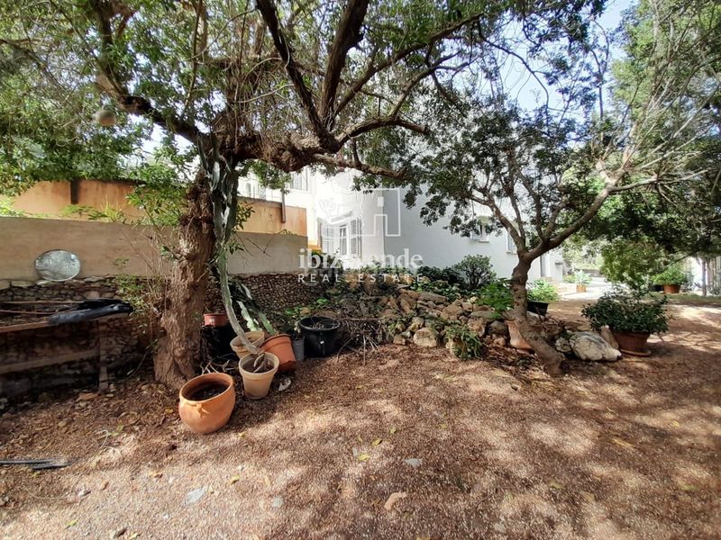 Foto 79a79602-13f5-4b95-a6d2-805bd05af1ab. Casa amb aparcament piscina a Sant Carles Santa Eulària