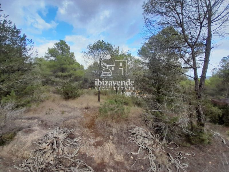 Foto 5626ff59-83d6-493e-80ed-1eaa55836384. Finca rústica a Sant Antoni de Portmany