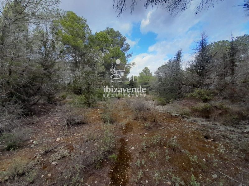 Foto 8a0bac6b-be51-4d5c-ba9e-84c292cb493f. Finca rústica a Sant Antoni de Portmany