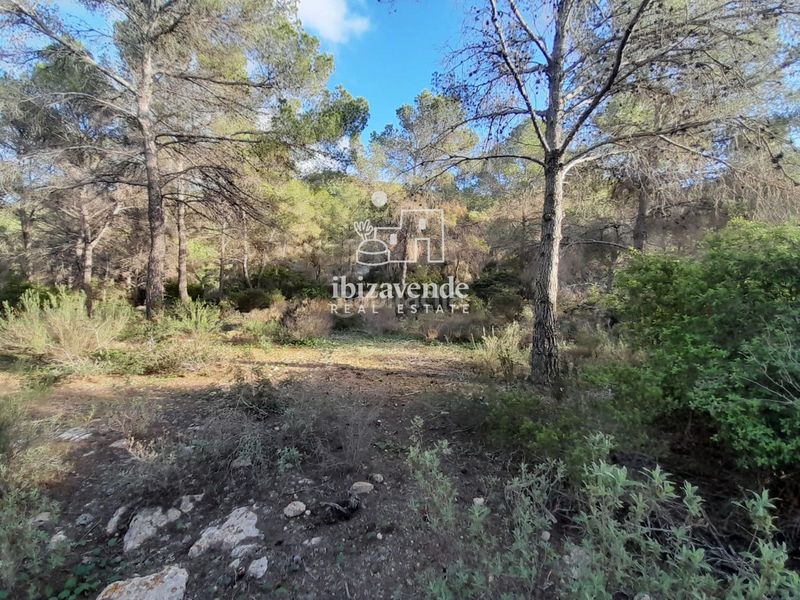 Foto b77a555e-58f2-44af-b724-a7dd176ca1c7. Finca rústica a Sant Antoni de Portmany