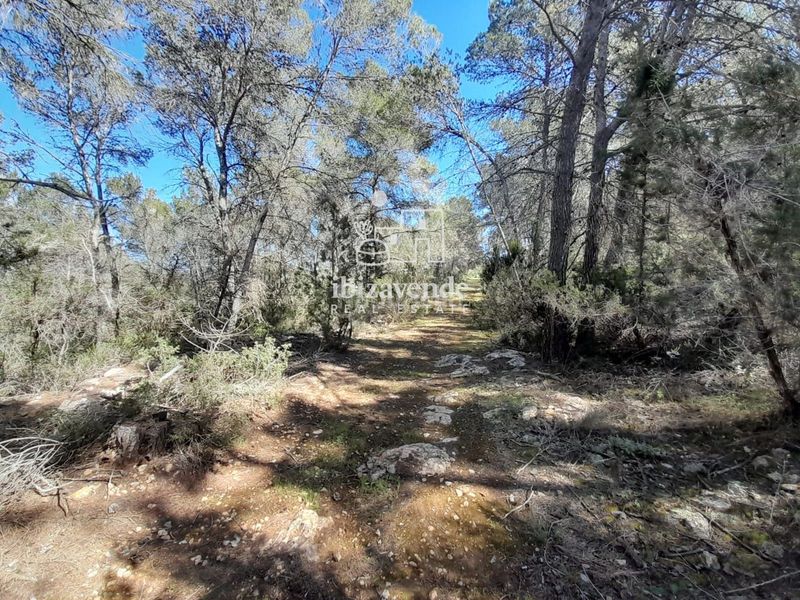 Foto 3d464322-9727-407b-bfbb-9d874b1a78aa. Finca rústica a Sant Antoni de Portmany