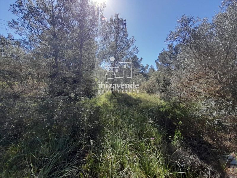 Foto 5b1eb266-0c61-443f-b33d-d38189834949. Finca rústica a Sant Antoni de Portmany