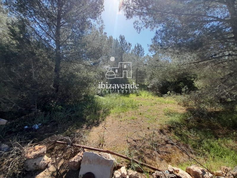Foto 6f8b796c-3538-4933-accc-1bff276051c3. Finca rústica a Sant Antoni de Portmany