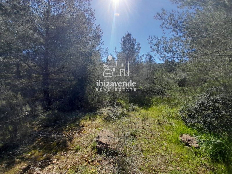 Foto 8da858b5-1477-46e8-a419-a9053b0dfcca. Finca rústica a Sant Antoni de Portmany