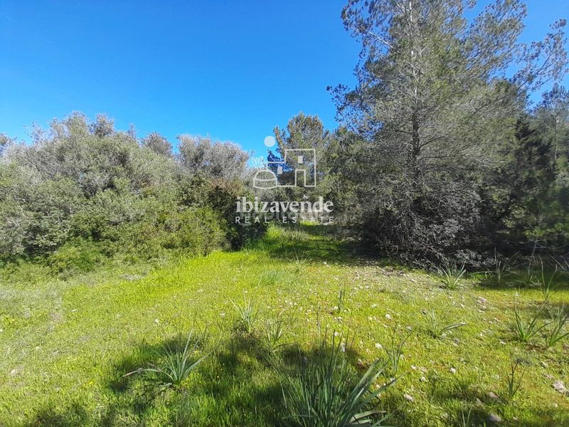 Foto bc0c86e9-8eef-4f63-9c47-2c933173ad3c. Finca rústica a Sant Antoni de Portmany