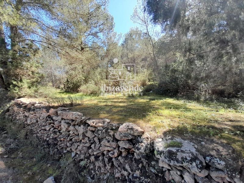 Foto ca2647f2-3765-41cd-bf80-8c22e9a44a09. Finca rústica a Sant Antoni de Portmany