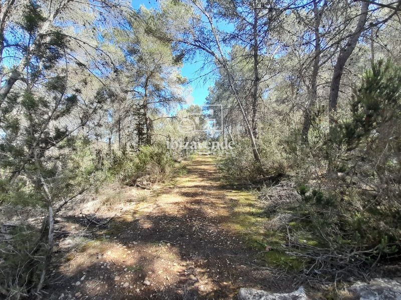 Foto f097ea29-a087-49c5-a487-029c45e027d3. Finca rústica a Sant Antoni de Portmany