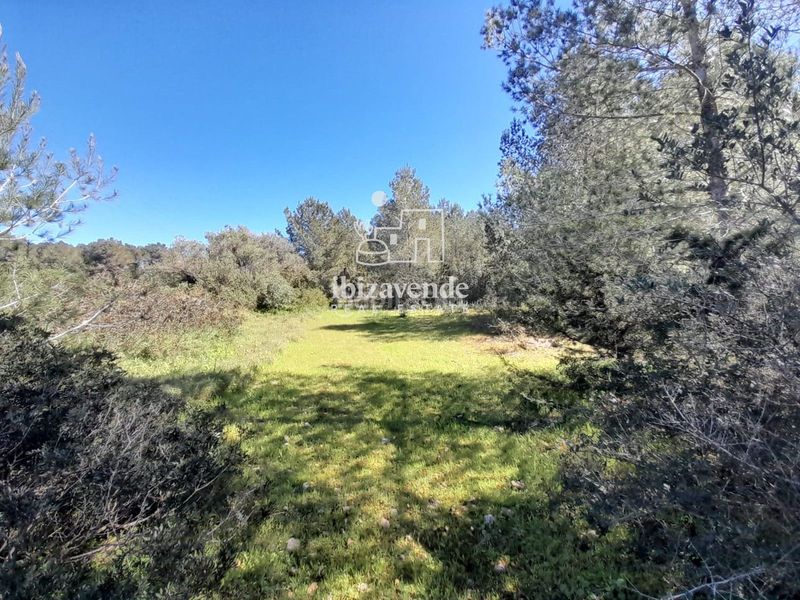 Foto f3963c39-e5f2-40b3-a4b2-179d7a6bda36. Finca rústica a Sant Antoni de Portmany