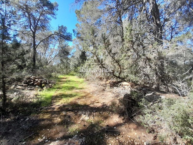 Foto fa88a837-9c90-440f-9104-bf7a7cbb0fef. Finca rústica a Sant Antoni de Portmany