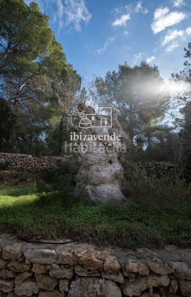 Foto 041a2e5e-a2ee-4674-9c87-8e2cbebc7676. Casa amb piscina a Roca Llisa Santa Eulària