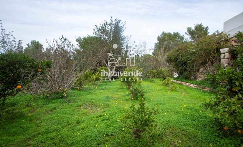 Foto 466f0b09-96f0-400f-95f9-25dfcdb0bbd5. Casa amb piscina a Roca Llisa Santa Eulària