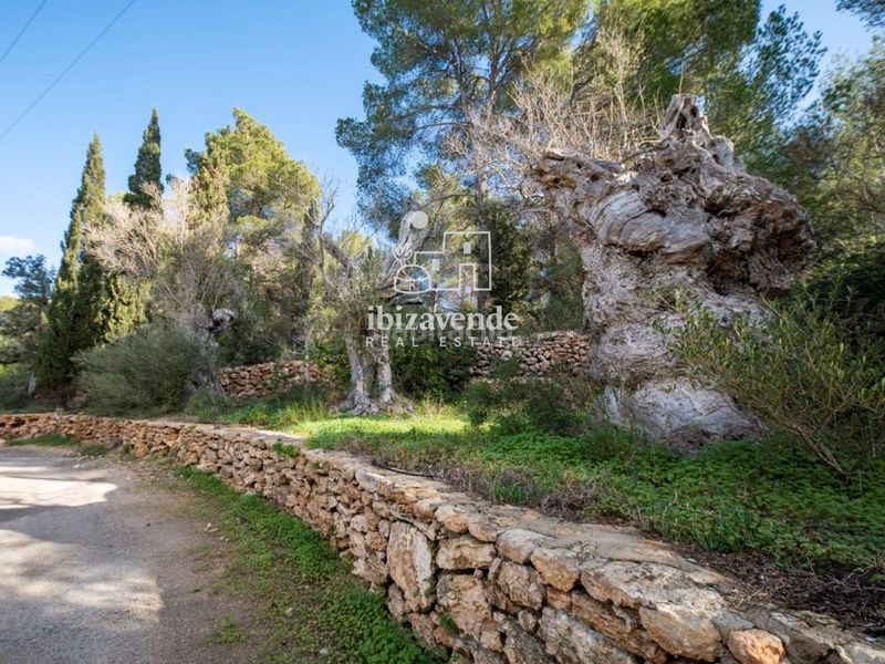 Foto b85eb40d-ea5f-4545-b18d-d378bb0ba4c1. Casa amb piscina a Roca Llisa Santa Eulària