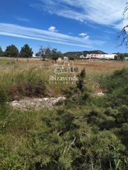 Fondo rustico  Es pou den lluís. Parcela rústica de 16.355m en can ramón