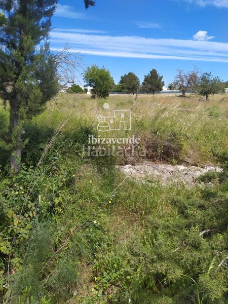 Foto a21f80f2-2f67-48bb-9d30-6b58ea5d1b40. Finca rústica a Ca Na Negreta - Can Ramón Santa Eulària