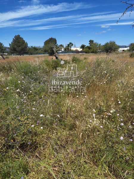 Foto ad973caf-1143-400d-b6cf-50015c23d2b5. Finca rústica a Ca Na Negreta - Can Ramón Santa Eulària