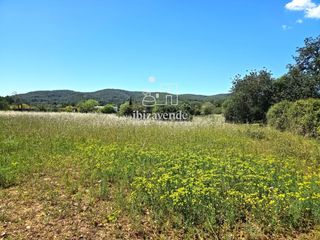 Terreno residenziale  Venda de porrals. Exclusiva parcela rústica de 17.000 m en sant joan de labritja