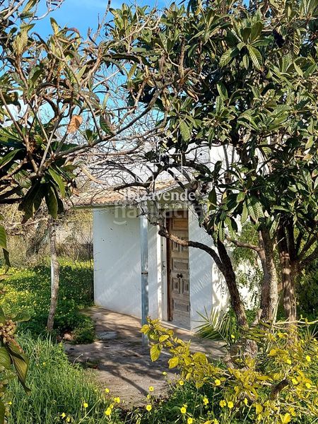 Foto be1c86c7-f0fa-4335-b5fa-7900afa7142e. Finca rústica a Sant Antoni de Portmany