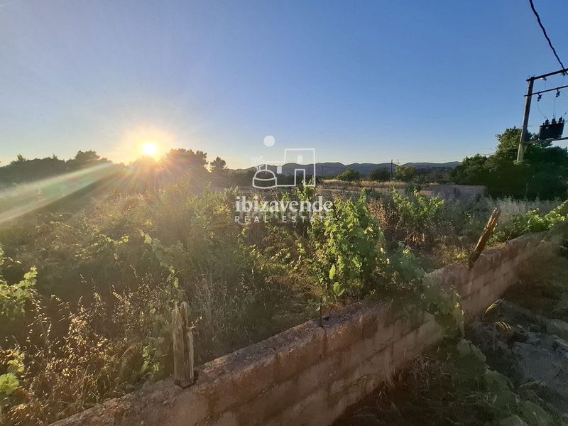 Foto fe1dd89f-d74c-4ecf-b4fc-61ca164bab8c. Finca rústica a Sant Antoni de Portmany