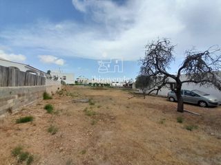 Fondo rustico  Del falcó. Parcela urbana en sa carroca de 1.200 m con posibilidad de vivie