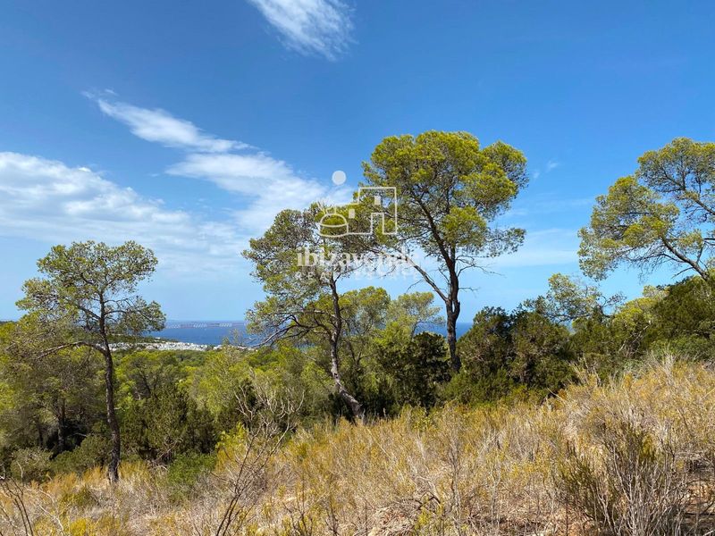 Foto 0531f8eb-5968-4f08-8220-c67d278037df. Landgut in Cala Vedella-Cala Tarida Sant Josep de sa Talaia