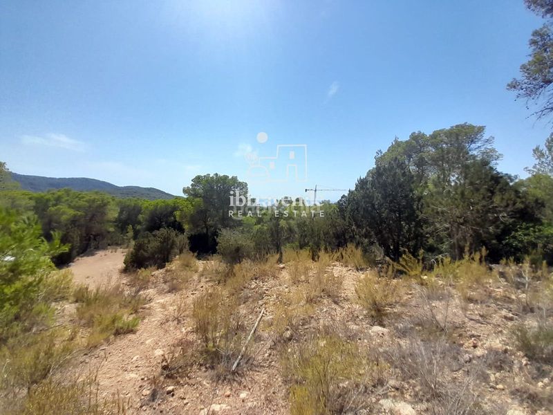 Foto 479c1739-7a2a-49cc-9a39-403fe7e3dc53. Landgut in Cala Vedella-Cala Tarida Sant Josep de sa Talaia