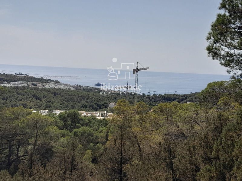 Foto b4fb7e15-9ee1-41b9-a302-924a2fe3e020. Landgut in Cala Vedella-Cala Tarida Sant Josep de sa Talaia
