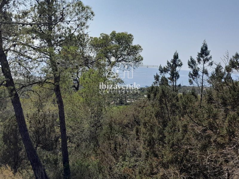 Foto d8579eb8-6c70-44bc-816a-dd9bc6364b0e. Landgut in Cala Vedella-Cala Tarida Sant Josep de sa Talaia
