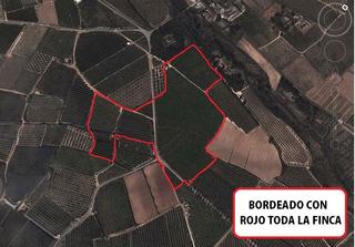 Propriété à Vilamarxant. Finca agricola de 90h con almendros en plena producción