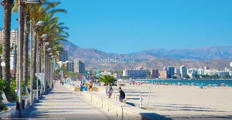 Foto 56239616-284c-43a6-bcfb-ffc8c23c52b2. Apartamento en Playa Muchavista Campello (el)