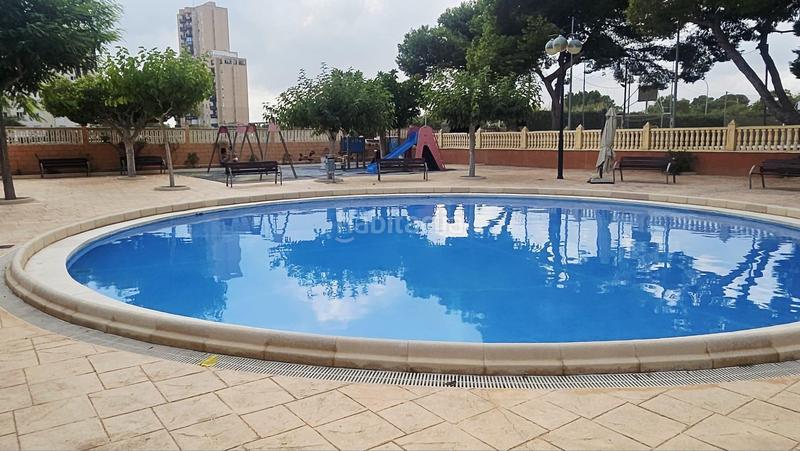 Foto 1a9d3622-298c-4d1e-ab88-2d2b9b4ae2cc. Alquiler piso alquiler de apartamento en primera linea de playa en Campello (el)