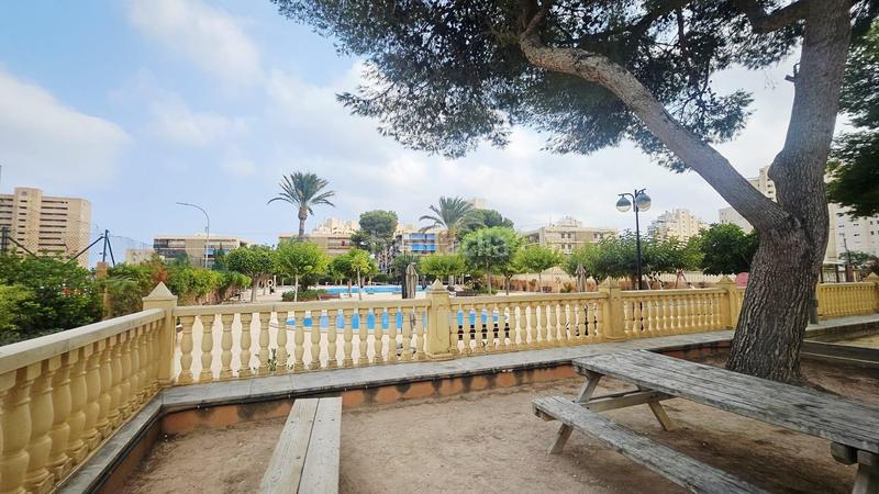 Foto f2c28806-f79c-450b-bfa4-7bb6fd78d792. Alquiler piso alquiler de apartamento en primera linea de playa en Campello (el)