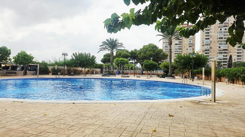 Foto fd51ffea-6ab3-4fa7-a338-aeddfb924626. Alquiler piso alquiler de apartamento en primera linea de playa en Campello (el)
