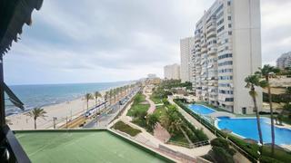 Lloguer Pis a Playa Muchavista. Alquiler temporal de apartamento en primera linea de playa