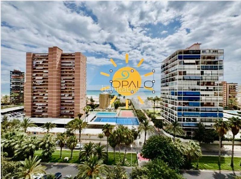 Foto 77dcb09a-5cb4-465f-947c-4a3a63a5261b. Apartament amb aparcament a Playa de San Juan Alicante