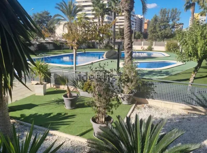 Foto 53ebc4e8-c9fc-482b-af96-9559e1b3c06e. Alquiler ático se alquila piso con vistas al mar en Alicante