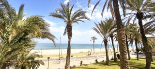 Lloguer Apartament a Playa Muchavista. Alquiler de apartamento de septiembre a junio de 2027