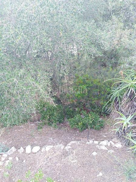 Foto 06ea6e02-dcf8-4aa6-8c9b-7e06e0a6d46f. Terreny residencial a costa Cunit - els jardins - els rosers Cunit