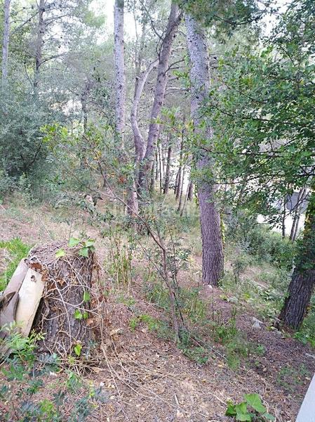 Foto 277cdca0-2216-42d6-b31a-1648e105f2b9. Terreny residencial a costa Cunit - els jardins - els rosers Cunit