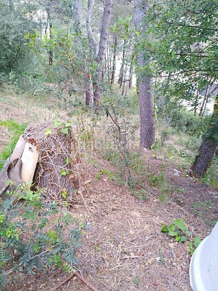 Foto 94ac5bf4-1e85-46d3-bac3-99d3d8faa5db. Terreny residencial a costa Cunit - els jardins - els rosers Cunit