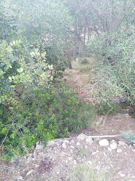 Foto 9ff2940b-d456-4c8f-8f43-05b847d609df. Terreny residencial a costa Cunit - els jardins - els rosers Cunit