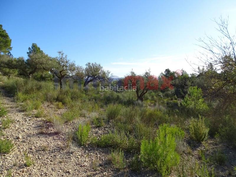 Foto 0395ca17-5648-4310-ae7f-ece2dce393c9. Wohngrundstück in Xerta