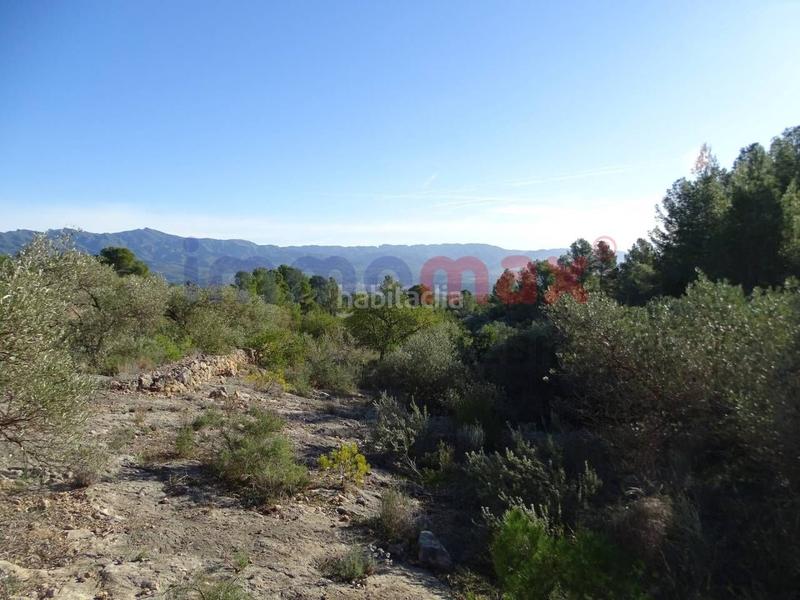 Foto 12856278-1121-42b8-878f-80c642d48658. Wohngrundstück in Xerta