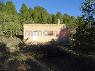 Residential Plot  Plaça major. Finca rustica en venta en xerta