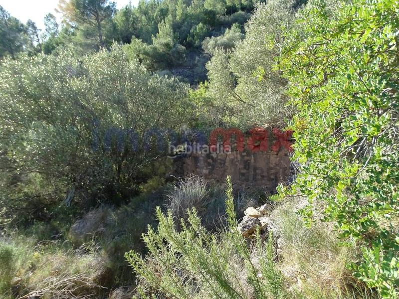 Foto 316eb6e5-3191-4c92-88c7-e35574c70844. Wohngrundstück in Xerta