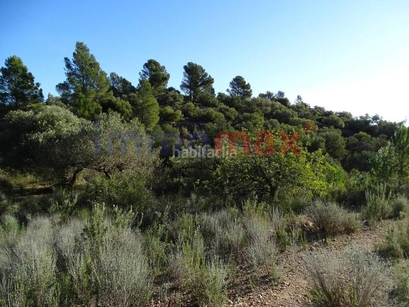 Foto 7d1045ad-008b-4a63-aab7-43e15d38b4f6. Wohngrundstück in Xerta