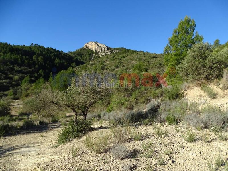 Foto be2fe6fe-ccfc-41d2-bb37-8449c8ce038a. Wohngrundstück in Xerta