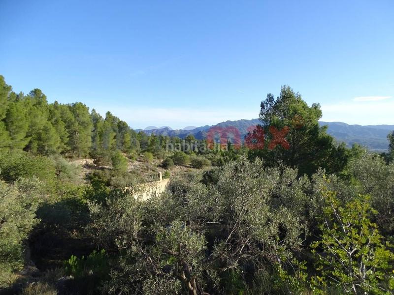 Foto d4b2407f-2823-4ab4-807b-1b1fe1052100. Wohngrundstück in Xerta